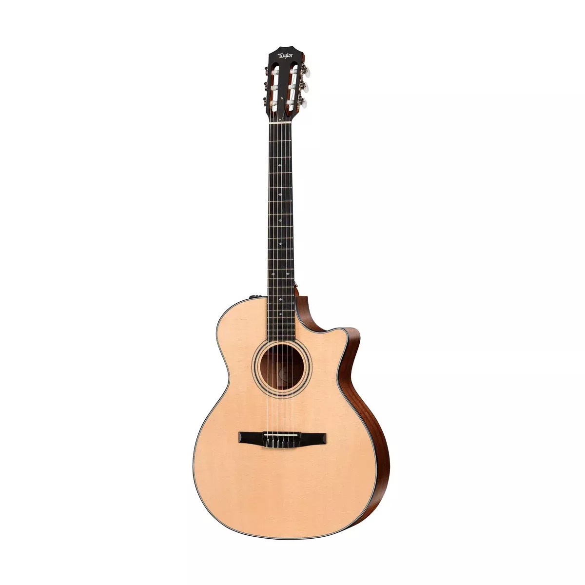 Taylor 314ce-N Grand Auditorium Nylon String Acoustic Guitar w/Case