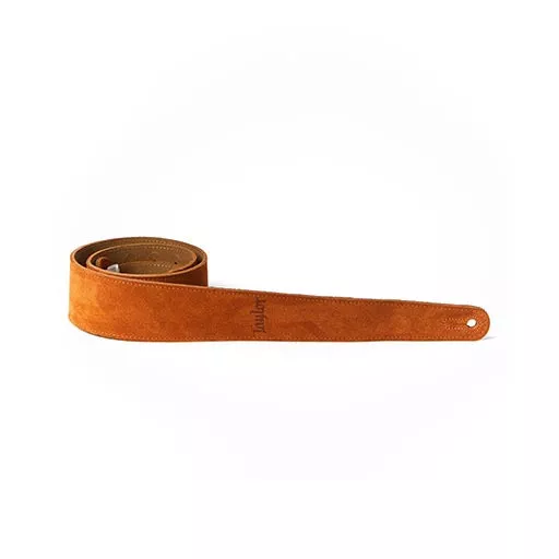 Taylor Embroidered Suede 2.5Inch Guitar Strap, Honey