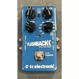 TC Electronic Flashback Delay & Looper USED Guitar Pedal Ramon Stagnaro
