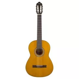Valencia 6 String Classical Guitar Right Antique VC204