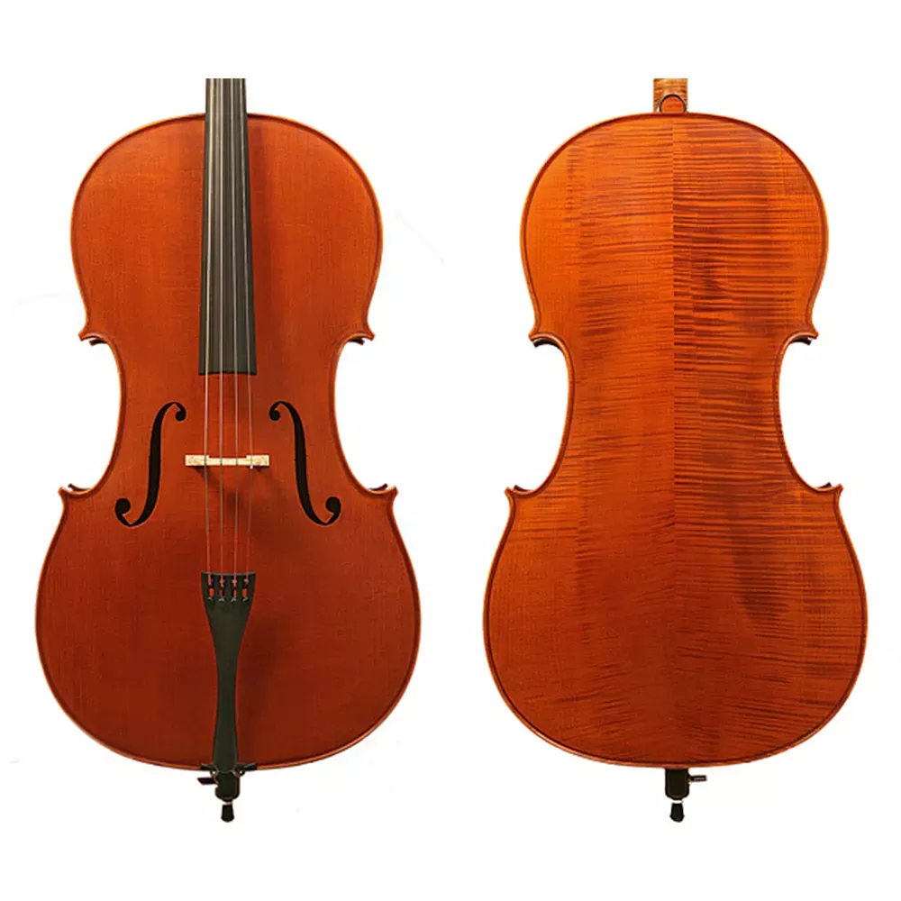 Vasile Gliga Professional Cello Only - 4/4