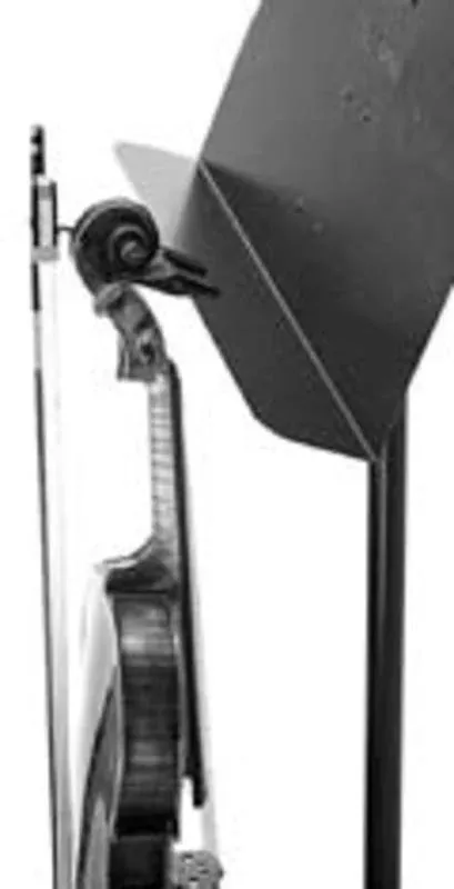 VIOLIN VIOLAHOLDER