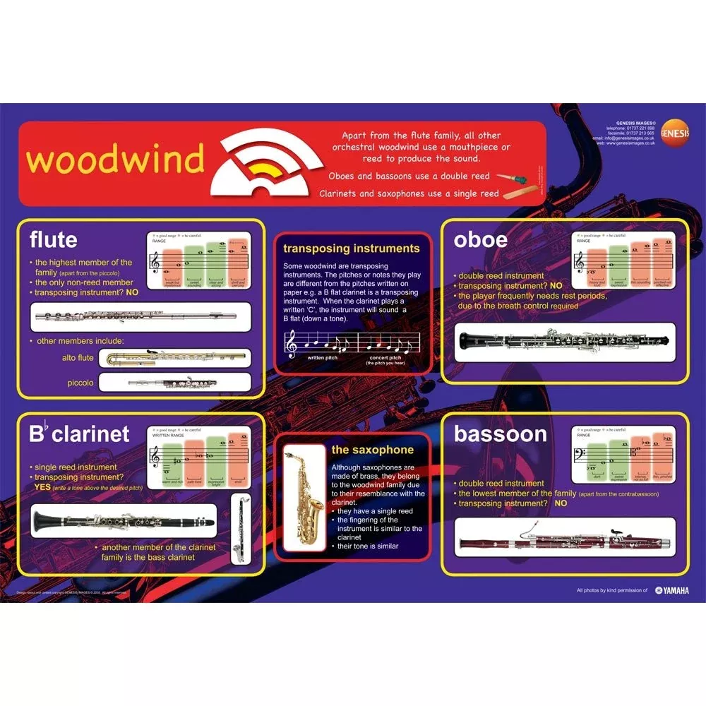 Woodwind instruments educational poster (GNS-22)